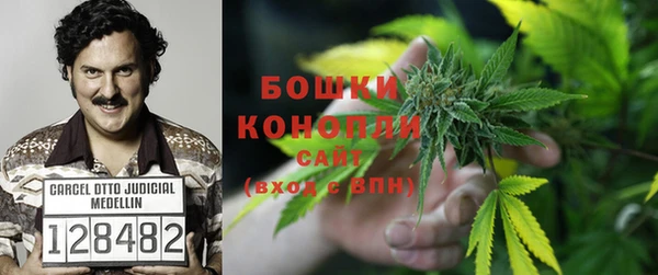 винт Белокуриха