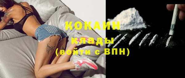 крисы Беломорск