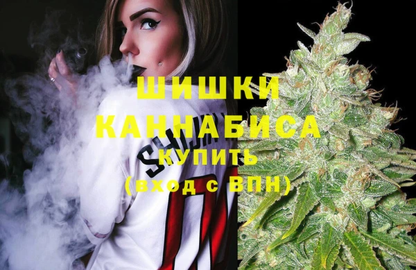 винт Белокуриха