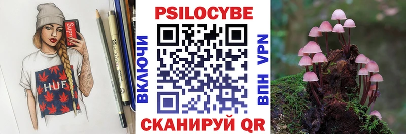 где купить наркотик  Губкинский  Псилоцибиновые грибы мицелий 