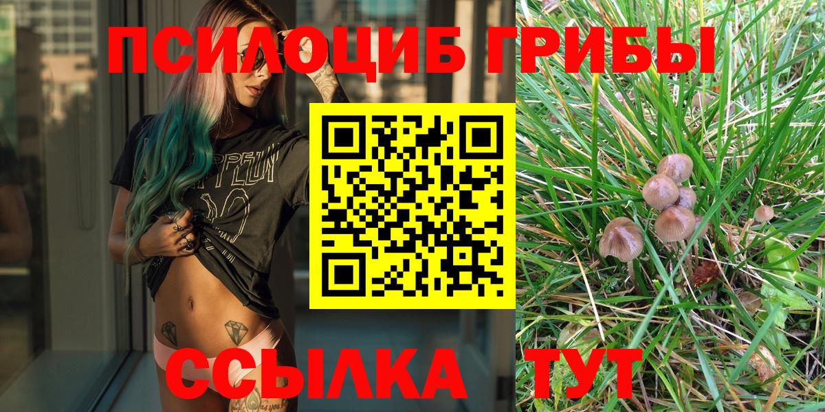 Галлюциногенные грибы Magic Shrooms Губкинский