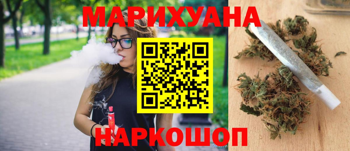 Бошки Шишки планчик Губкинский
